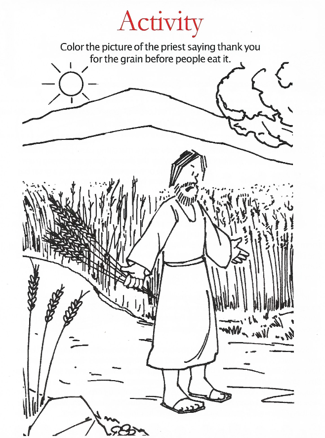 Activity Page